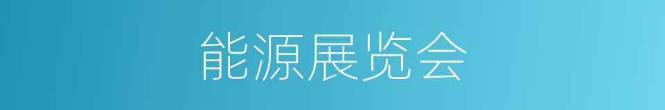 能源展览会的同义词
