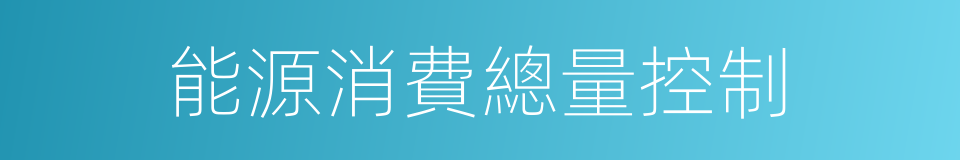 能源消費總量控制的同義詞