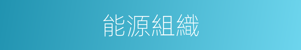 能源組織的同義詞