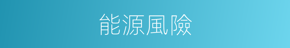 能源風險的同義詞