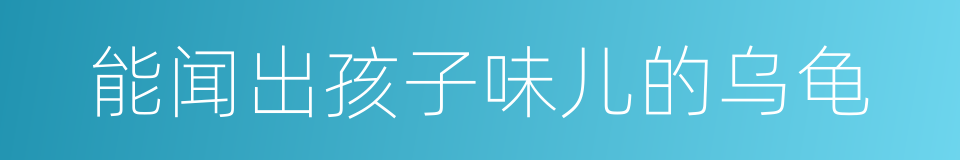 能闻出孩子味儿的乌龟的同义词
