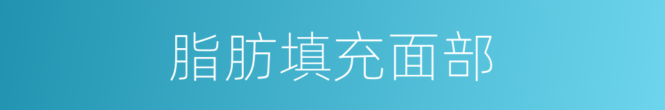 脂肪填充面部的同义词