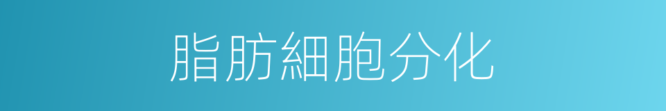 脂肪細胞分化的同義詞