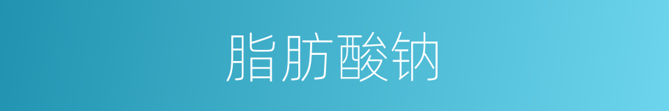 脂肪酸钠的同义词
