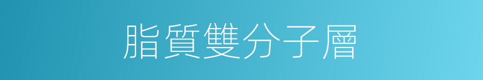 脂質雙分子層的同義詞