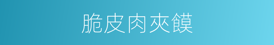 脆皮肉夾饃的同義詞
