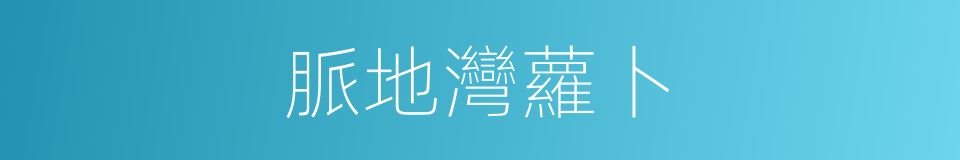 脈地灣蘿卜的同義詞