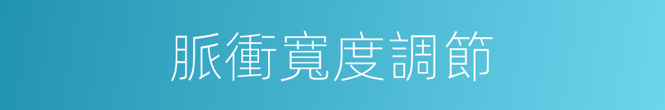 脈衝寬度調節的同義詞