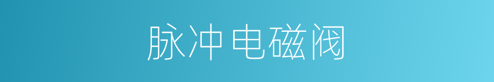 脉冲电磁阀的同义词