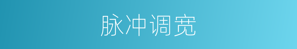 脉冲调宽的同义词