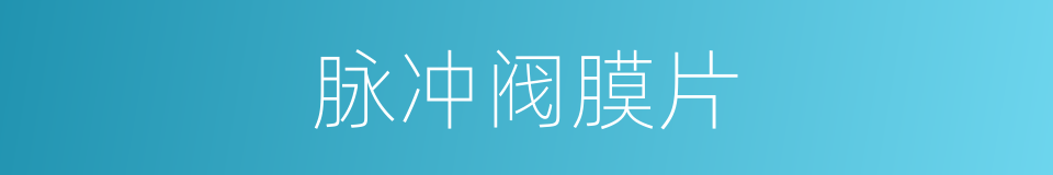 脉冲阀膜片的同义词