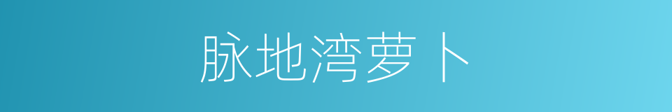 脉地湾萝卜的同义词