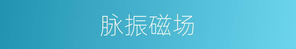脉振磁场的同义词