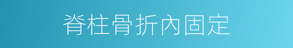 脊柱骨折內固定的同義詞