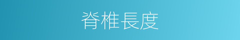 脊椎長度的同義詞