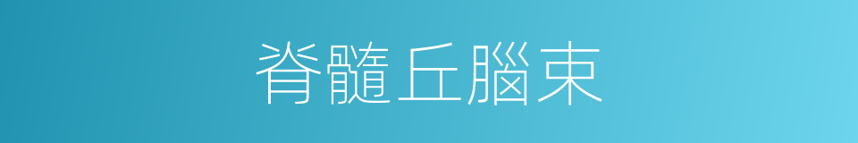脊髓丘腦束的同義詞