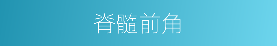 脊髓前角的同義詞