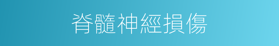 脊髓神經損傷的同義詞