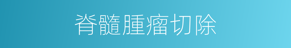 脊髓腫瘤切除的同義詞