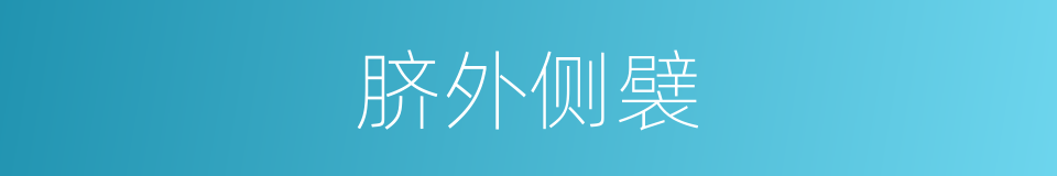 脐外侧襞的同义词