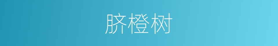 脐橙树的同义词