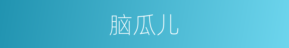 脑瓜儿的意思