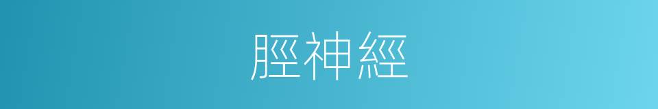 脛神經的同義詞