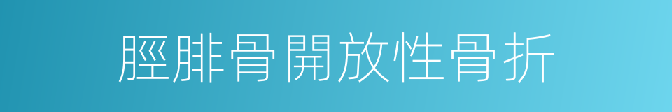 脛腓骨開放性骨折的同義詞