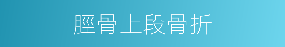 脛骨上段骨折的同義詞