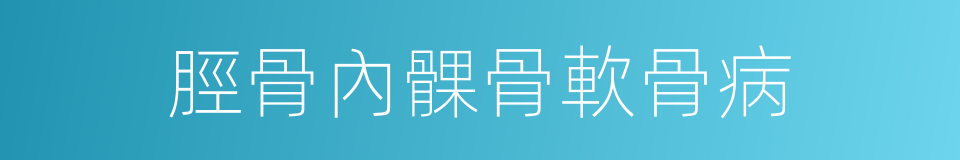 脛骨內髁骨軟骨病的同義詞