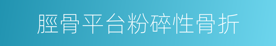 脛骨平台粉碎性骨折的同義詞