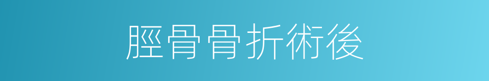 脛骨骨折術後的同義詞