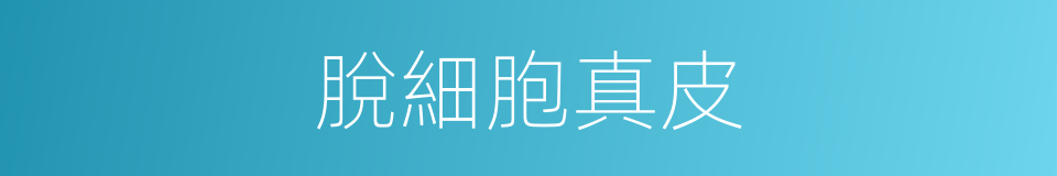 脫細胞真皮的同義詞