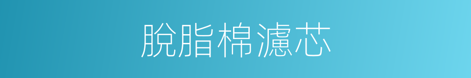 脫脂棉濾芯的同義詞