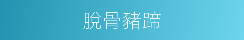 脫骨豬蹄的同義詞