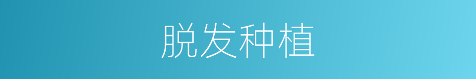 脱发种植的意思