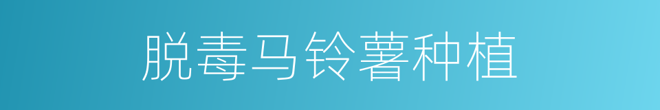 脱毒马铃薯种植的同义词