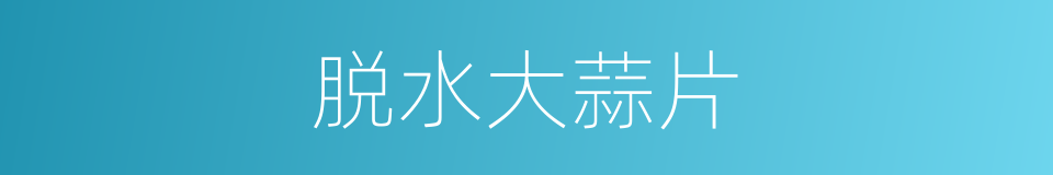 脱水大蒜片的同义词