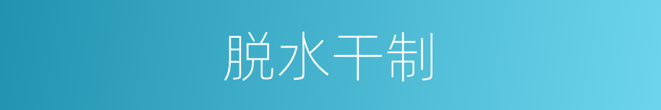 脱水干制的同义词