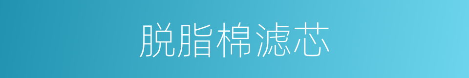 脱脂棉滤芯的同义词