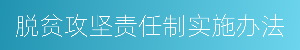 脱贫攻坚责任制实施办法的同义词