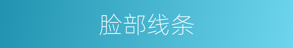 脸部线条的同义词