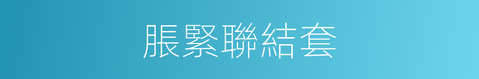 脹緊聯結套的同義詞