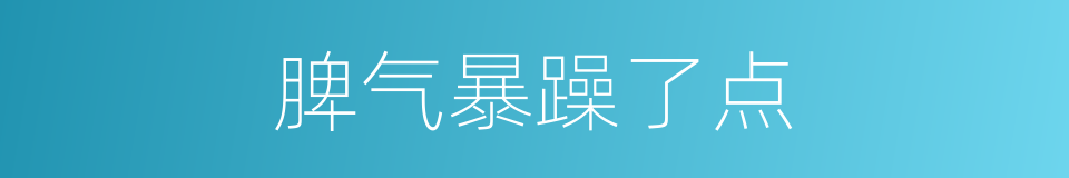 脾气暴躁了点的同义词