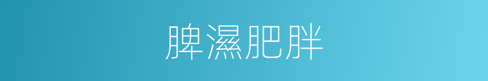 脾濕肥胖的同義詞