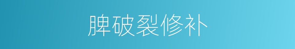 脾破裂修补的同义词