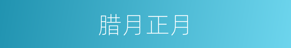 腊月正月的同义词