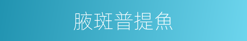 腋斑普提魚的同義詞