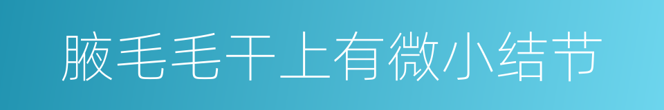 腋毛毛干上有微小结节的同义词