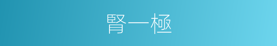 腎一極的同義詞